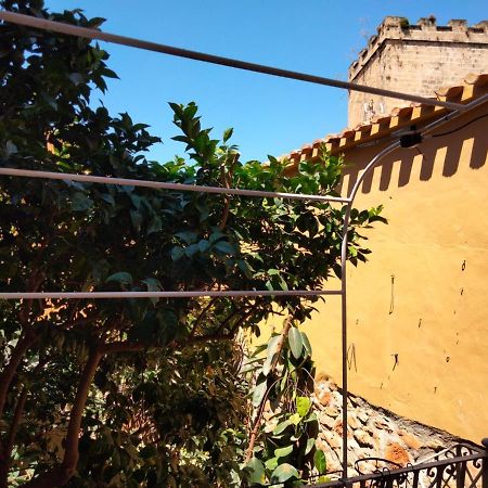 Estudio Castillo Dénia Buitenkant foto